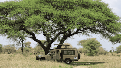 Is Tanzania duur?