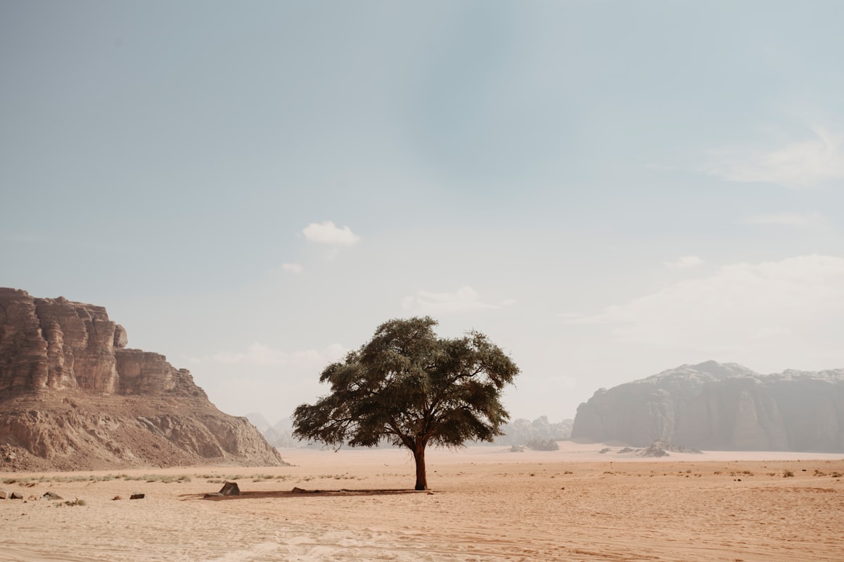 Jordanië verrast elke reiziger die verder kijkt dan Petra