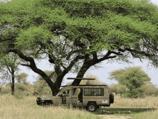 Explore Tanzania