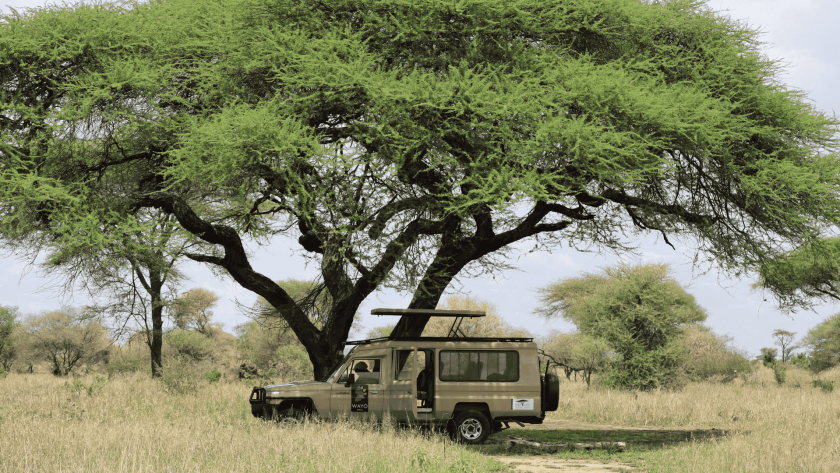 Explore Tanzania