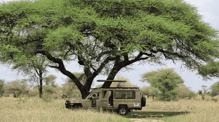 Explore Tanzania